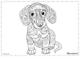 Kleurplaat hond en kat vinden elkaar leuk kleurplaten nl from www.kleurplaten.nl. Kleurplaten Van Honden