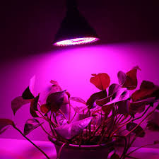 During flowering, 90w red flower boosters are added to increase yield. Full Spectrum Led Grow Light E27 Lamp Bulb For Plant Hydroponic 60 80 24 W Watts Holder E40 Shopee Philippines