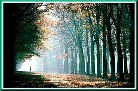 The lord gave the answer over and over thus, we would remain on the narrow path. The Cunning Plan Of The Evil One Unblogmysoul