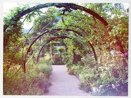 The giant clock designed with varied kinds of captivating flowering plants, which you see at the entrance is one of the prime attractions of the park. About Lake Lure Lake Lure Adventure Company