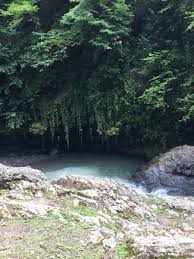 Ancient leshen Tumblr posts - Tumbig.com