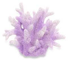 Check spelling or type a new query. Large Reef Aquarium Ornament Decorations Fish Tank Coral Landscape Decor T005 Light Purple Walmart Com Walmart Com