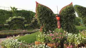 Well over a dozen different butterfly species flutter through our meadow and greenhouse at any one time. Watch Species Of Butterflies At Dubai Butterfly Garden Youtube