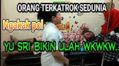 Untuk informasi lebih lanjut simak dengan seksama ya!! Kisah Lucu Paijo Melamar Anaknya Mbah Moden Di Jamin Ngakak Youtube