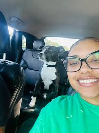 Nitro is a sweet and loving dog