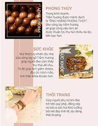 Trầm Hương Là Gì Wikipedia? Toàn Tập Về 'Linh Mộc Của Đất Trời' 