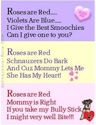 Valentine S Day Dog Poem Valentines Poems Dog Poems Valentines Day Poems