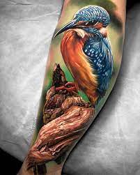 Vibrant Kingfisher Animal Tattoos Kingfisher Tattoo Tattoos