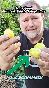 I Got SCAMMED ! Exposing Fake Food Plants & Seeds Sold Online