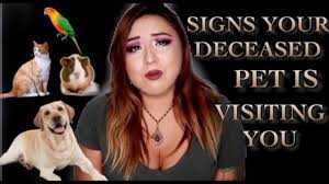 We did not find results for: Signs Your Deceased Pet Is Visiting You How To Cope With Death Youtube