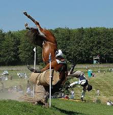 Bit in gesprek met eva & jesse! 15 Fails Ideas Horses Show Horses Eventing