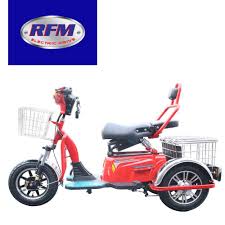 E Bike 3 Wheels Price List Off 71 Felasa Eu