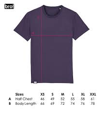 Bro Standard Tee Size Chart Plum The Brocery Store