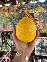 Help! My lantana has a problem