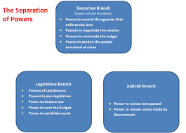 Separation Of Powers Between Various Organs