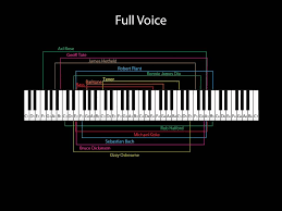How Do I Know My Voice Type Vocal Vigor