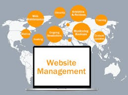 Website Management Icon