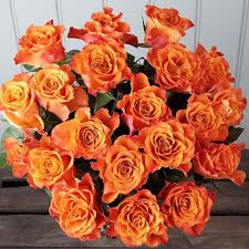 For dsl in the new jersey area, you have your choice of two companies: This Stunning Orange Rose Bouquet Suggests Friendship And Love This Flower Arrangement Will Help To Seal Flowers By Post Orange Rose Bouquet Beautiful Flowers