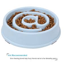 Food puzzles and food enrichment for your cat. Upsky Slow Feeder Small Dog Bowls Non Slip Puzzle Bowl Fun Feeder Interactive Bloat Stop Dog Bowl Anti Choking Dog Bowl With B Dog Bowls Slow Feeder Dog Feeder