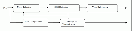 A Review Paper On Analysis Of Electrocardiograph Ecg