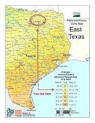 Burgess Seed And Plant Zones Iranit Co