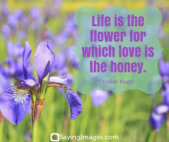 42 Beautiful Flower Quotes Sayingimages Com Flower Quotes Beautiful Flower Quotes Beautiful Flowers Images
