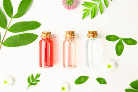 Image result for Triumfetta cordifolia