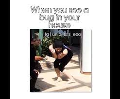 Bug Funny Funny Meme House Jackson Jb Jr Kpop Me Meme Scary Kpop Funny Kpop Meme Got7 Jackson Wang Bamba Kpop Funny Funny Kpop Memes Funny Memes