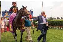 THE FABULOUS LIFE OF FRANK AND BELINDA STRONACH