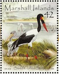 pin by supermodel ki on aves marinas bird stamp postage stamps post stamp