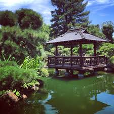 The area also includes a small pond containing koi and golfish, as well as a teahouse. Lafayette Reservoir Recreation Hayward Japanese Gardens Google æœå°‹