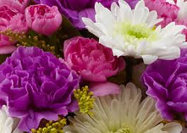 This is a list of smaller local towns that surround jackson, ms. Florists