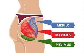 With this tool you can calculate the intersection(s) of list of elements. The Benefits Of Getting Your Glutes Massaged
