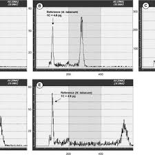 Image result for Vandenboschia gigantea
