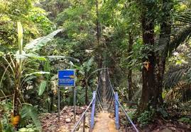 Banyak tempat menarik untuk jalan makan angin di shah alam untuk pengalaman melancong yang menyeronokkan! Outdoor 5 Tempat Hiking Menarik Di Selangor Tripjalan