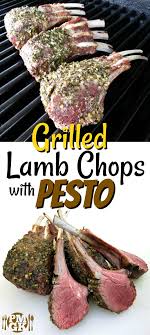 Grilled Lamb Chops With Pesto Lamb Chop Recipes Grilled Lamb Chops Lamb Chops