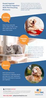 Reviewing reports from the nation's poison control centers in 1997, epa investigators found chlorpyrifos is one of the leading causes of acute. Guard Against Accidental Ingestion With Pet Proofing Measures Vitusvet