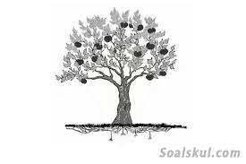 Pernah dengar test baum dan test dap? Contoh Tes Menggambar Pohon Dalam Psikotes Soalskul