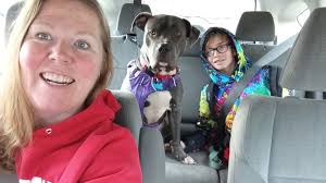 Foster Spotlight! ✨ We want to congratulate Susan who just celebrated  taking home her 100th foster dog!! WOW. Susan has helped us and other  rescues save so many lives and we are