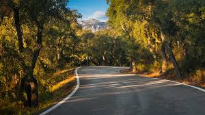 We did not find results for: Ein Landhotel In Andalusien Grazalema Hotel Fuerte Grazalema