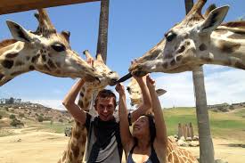 Team North America Update Jules Brock In San Diego Viator Travel Blog San Diego Zoo Safari Park San Diego Zoo North America