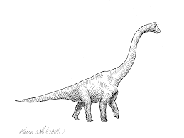 Dino tekenen in stappen / perspectief tekenen voor beginners Brachiosaurus Dinosaur Decor Tekening Wall Art Prints Lange Etsy