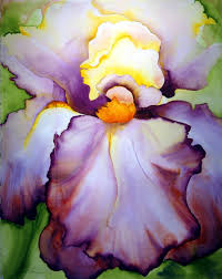 Then, they painted with colors and finally, outlined in black paint. Iris Watercolor Registry Placerarts Org Wasserfarbenblumen Wie Man Blumen Malt Wasserfarben Kunst