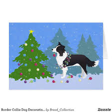 They love to show off their dogs and these ornaments are just the thing. Border Collie Dog Decorating Christmas Tree Holiday Card Zazzle Com Border Collie Art Collie Dog Border Collie Dog