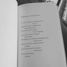 Walking To Indian River Mary Oliver Mary Oliver Writing Poetry Indian River