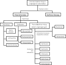 Check spelling or type a new query. Peta Konsep Lembar Kerja Siswa