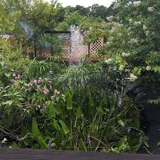 See more ideas about landscape maintenance, outdoor, concrete decor. Transforming Our Vacant Property Into Our Landscaped Paradise Hometalk