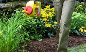 Depends on the size of your lawn. Best Weed Killer For Your Yard The Home Depot