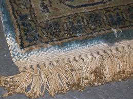 Welche kleidung motten besonders lieben. Motten Im Teppich Was Tun Erste Hilfe Teppichreinigung Vorwerk