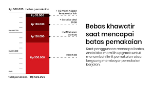 Kartu halo call center telkomsel. Halo Limit Manage Telkomsel Halo Bills With Ease Telkomsel